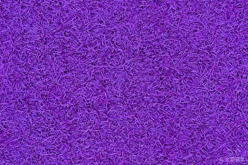 紫色_背景_纹理_质感_高清图片_全景视觉