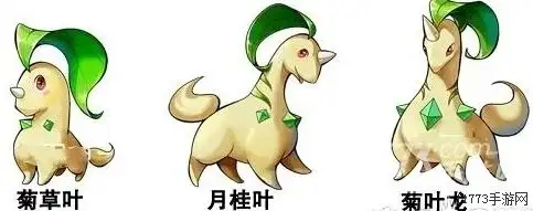 《去吧皮卡丘》3星精灵菊草叶属性图鉴