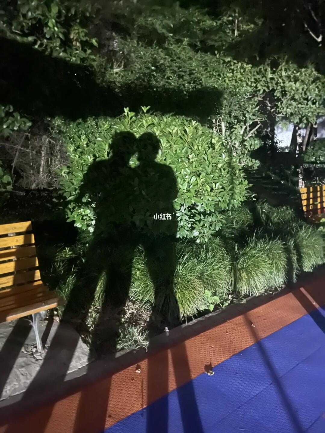 晚上都一起散步,但只要有时间,我们都会一起散步,散步的时候两个人放