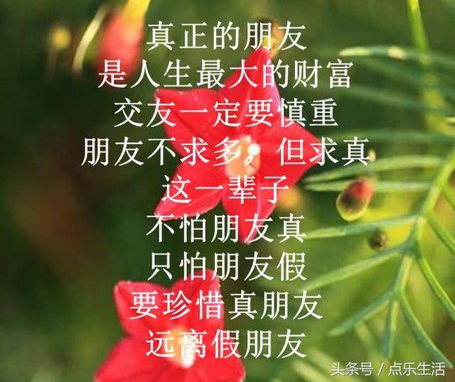 什么是朋友!(句句入心)