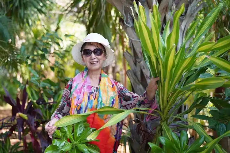 大妈们的不老芳华