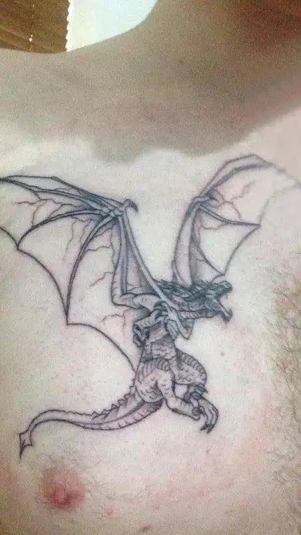 飞龙纹身图男生胸部黑灰纹身素描飞龙纹身图案