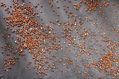 红色的种子关于有机的奎奴亚藜-藜属:世界温带地区的一个草本植物属奎