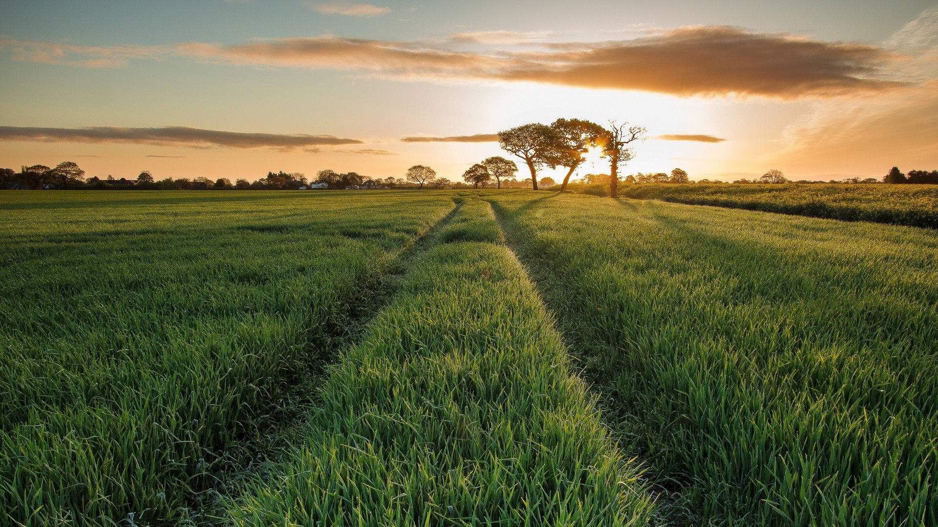 草原自然风景高清图片桌面壁纸高清大图预览1920x1200_风景壁纸下载