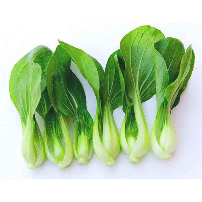 现摘新鲜蔬菜上海青小油菜农家自种蔬菜类小青菜绿叶菜小白菜4斤