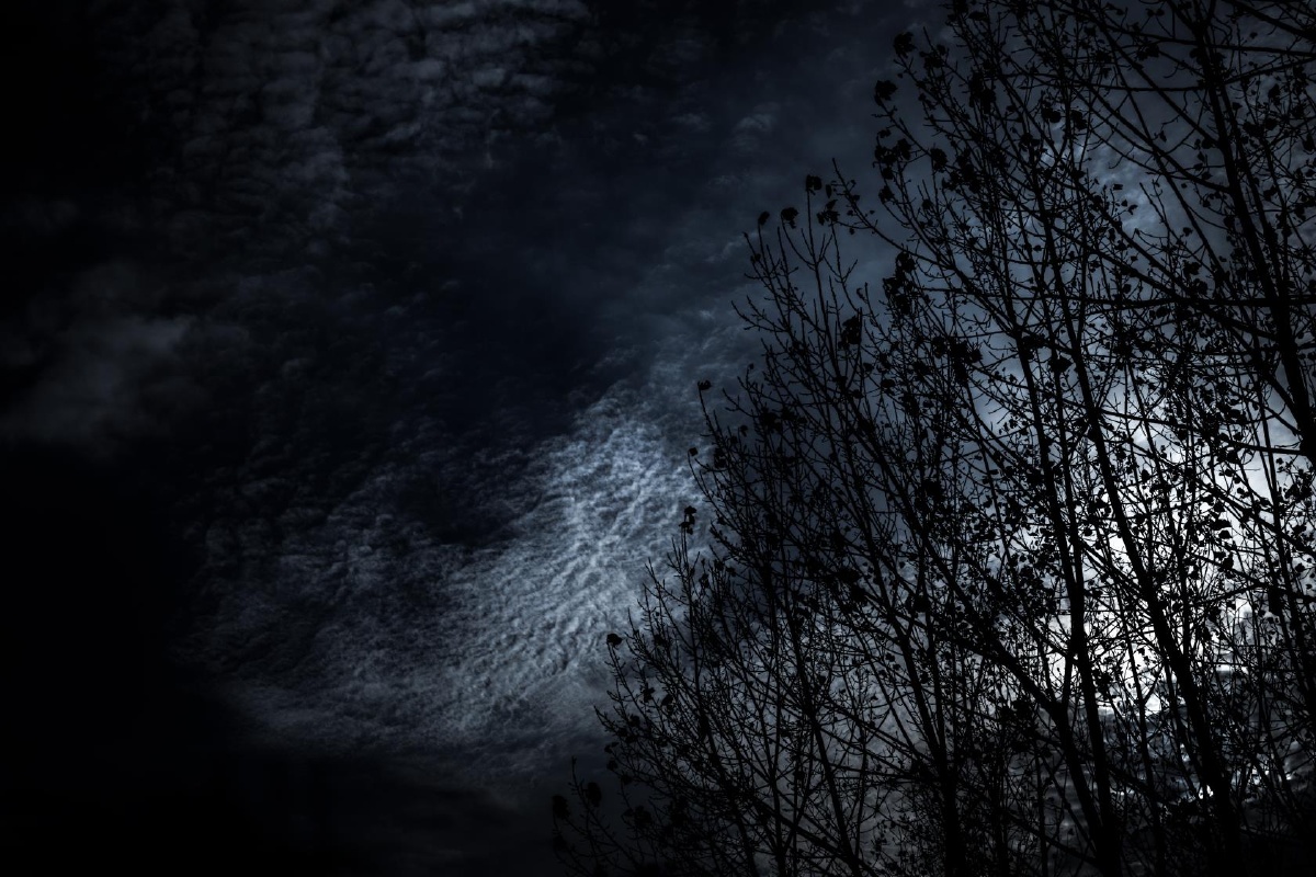 这阵子喜欢的调色有点压抑了