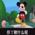 嘿你呀瞅什么呀是我你爹米老鼠