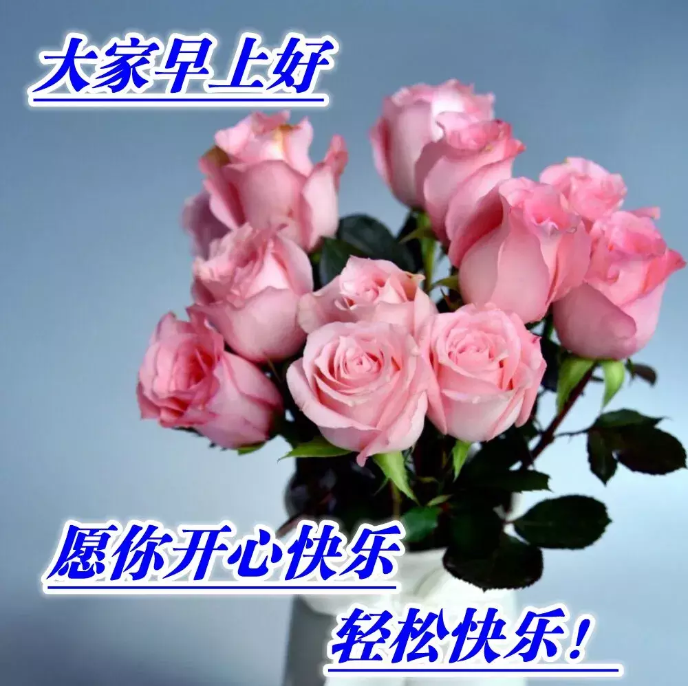 2020星期五清晨早安温馨问候语集锦早上好鲜花漂亮问候语图片