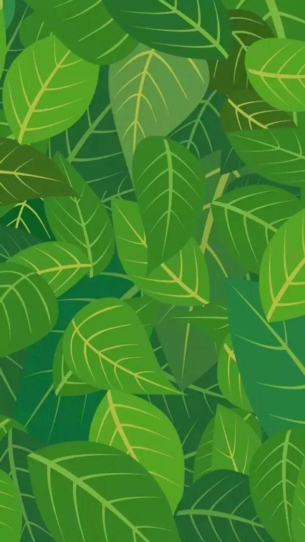 抖音刚火的绿色壁纸:绿色很好,只是被爱情玷污了而已