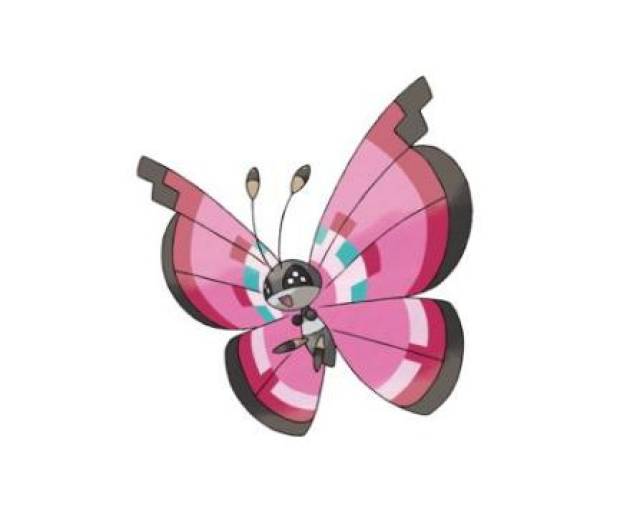 no.3 彩粉蝶(碧粉蝶)