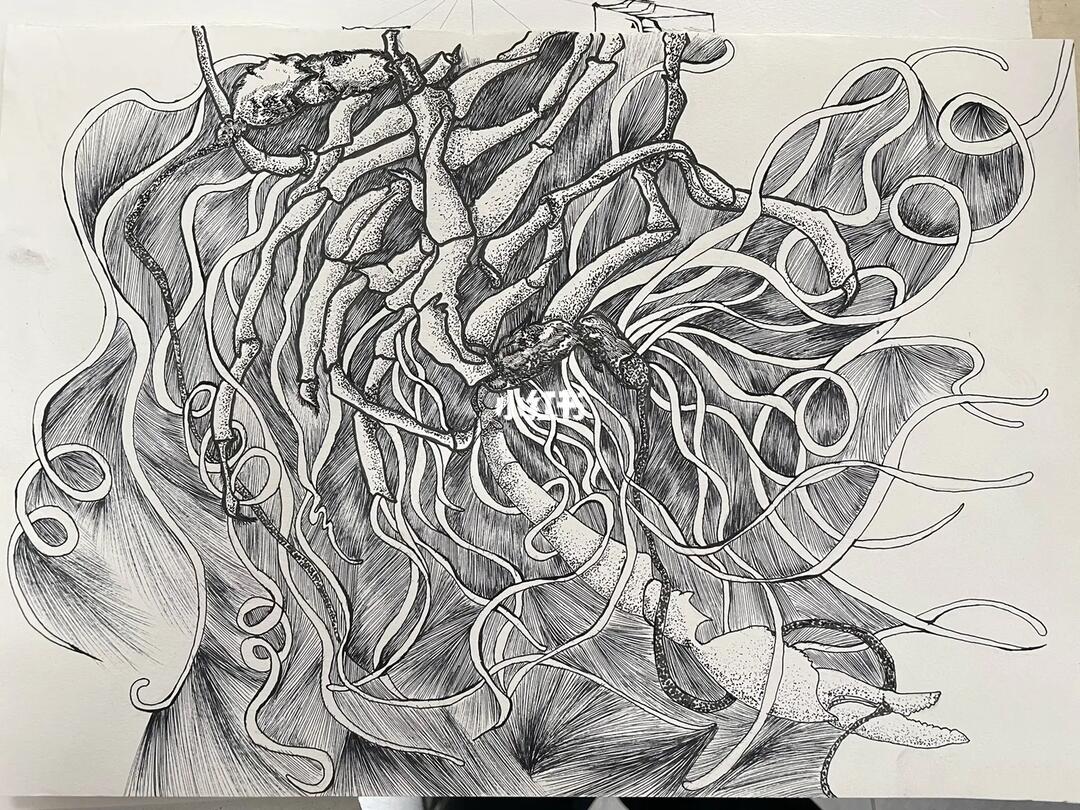 自然形态结构 解构重组大作业#结构设计