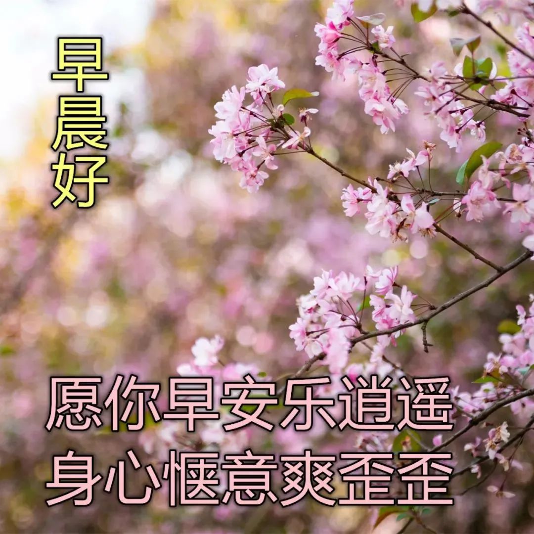 8张最美春日风景早上好图片带字带祝福语 好看的朋友圈早安问候祝福语