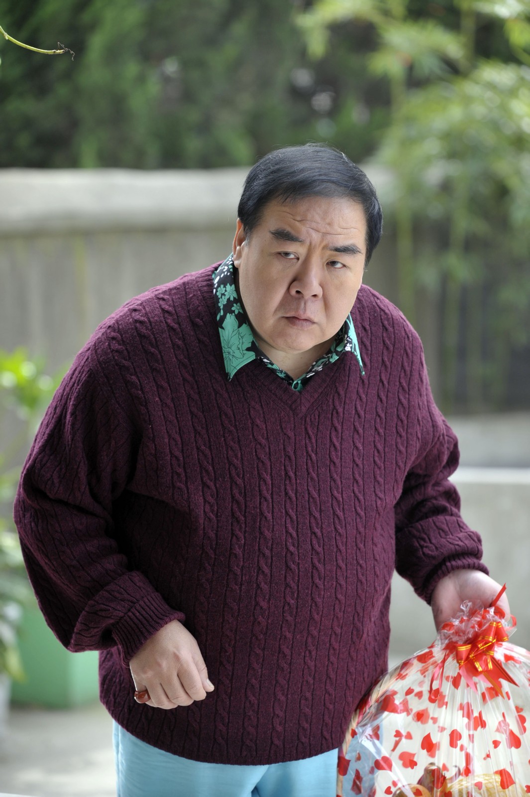 cheng),1951年5月22日出生于广东省汕头市潮阳区,中国香港影视演员