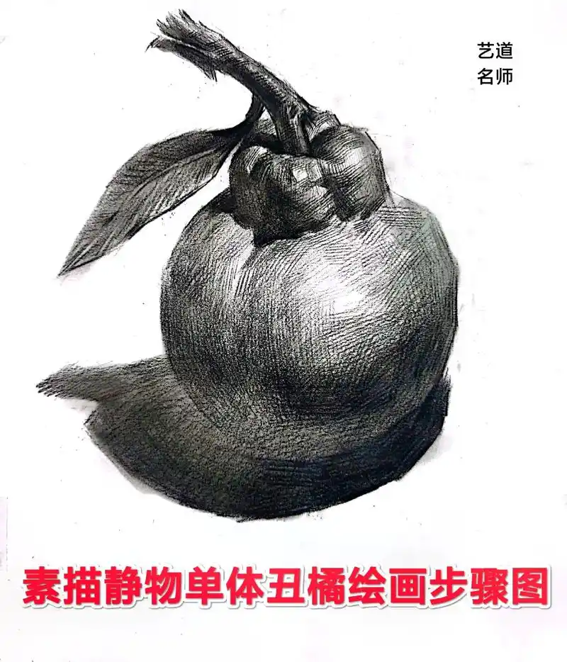 素描静物单体丑橘绘画步骤图.#素描静物 #素描静物教学 #素 - 抖音