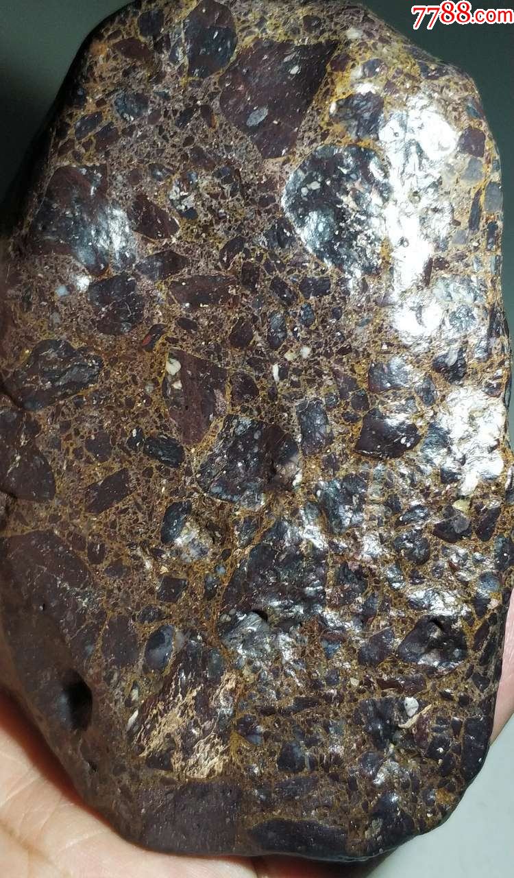 4218新疆哈密棕色大晶格花伊丁陨石陨铁507克