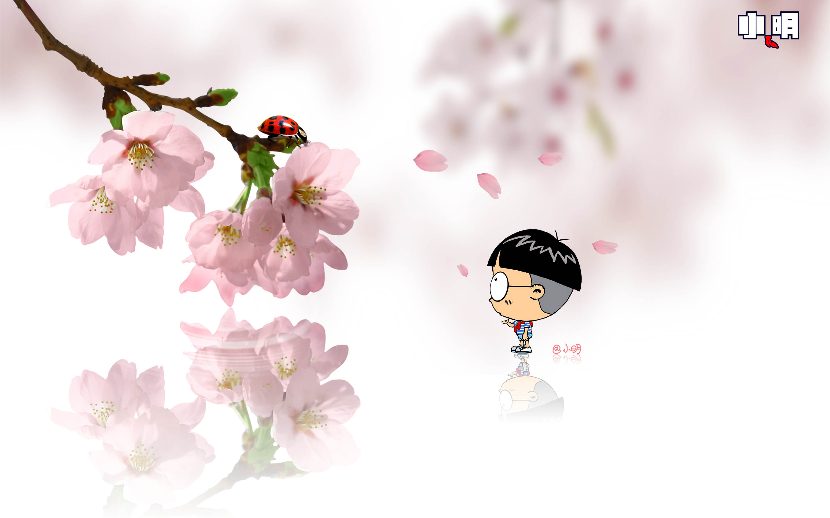 小明 电脑 桌面 壁纸 卡通 漫画 可爱 逗比