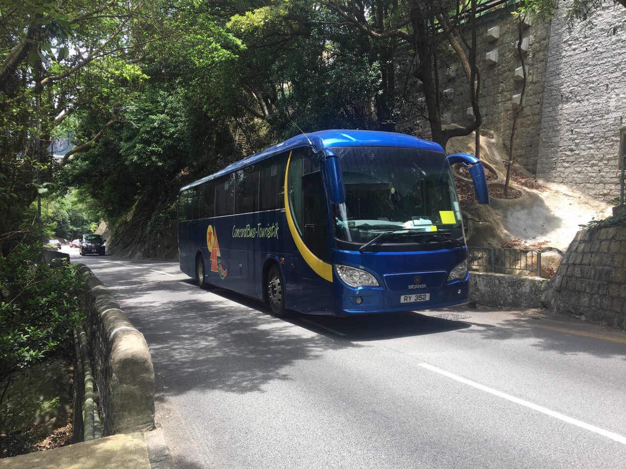 司徒拔道观景台