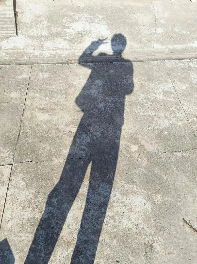 只有影子才会对你不离不弃 你走到哪 它跟到哪,形影不离#太 - 抖音