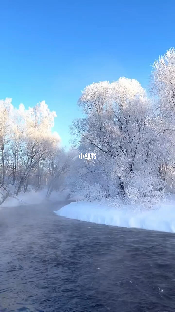 北方的雪景雾凇