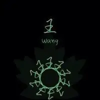 姓氏王头像我姓王的霸气文字图片