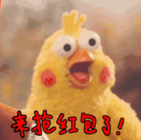 新晋网红鹦鹉兄弟今年春节最火的表情包就是他们啦