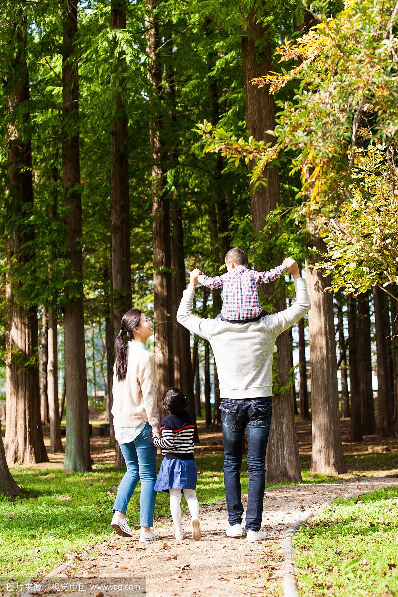 一家四口正走在林中小路上