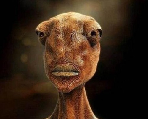 一亿年后的人类图片秃毛大眼小脑瓜丑爆了