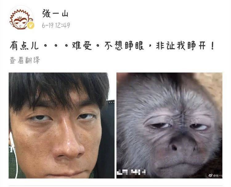 张一山晒素颜照,撞脸黑猴子,看到他的配文后,网友:别太拼了!