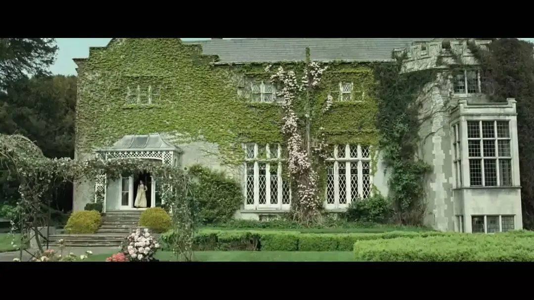 胡说八道谈电影