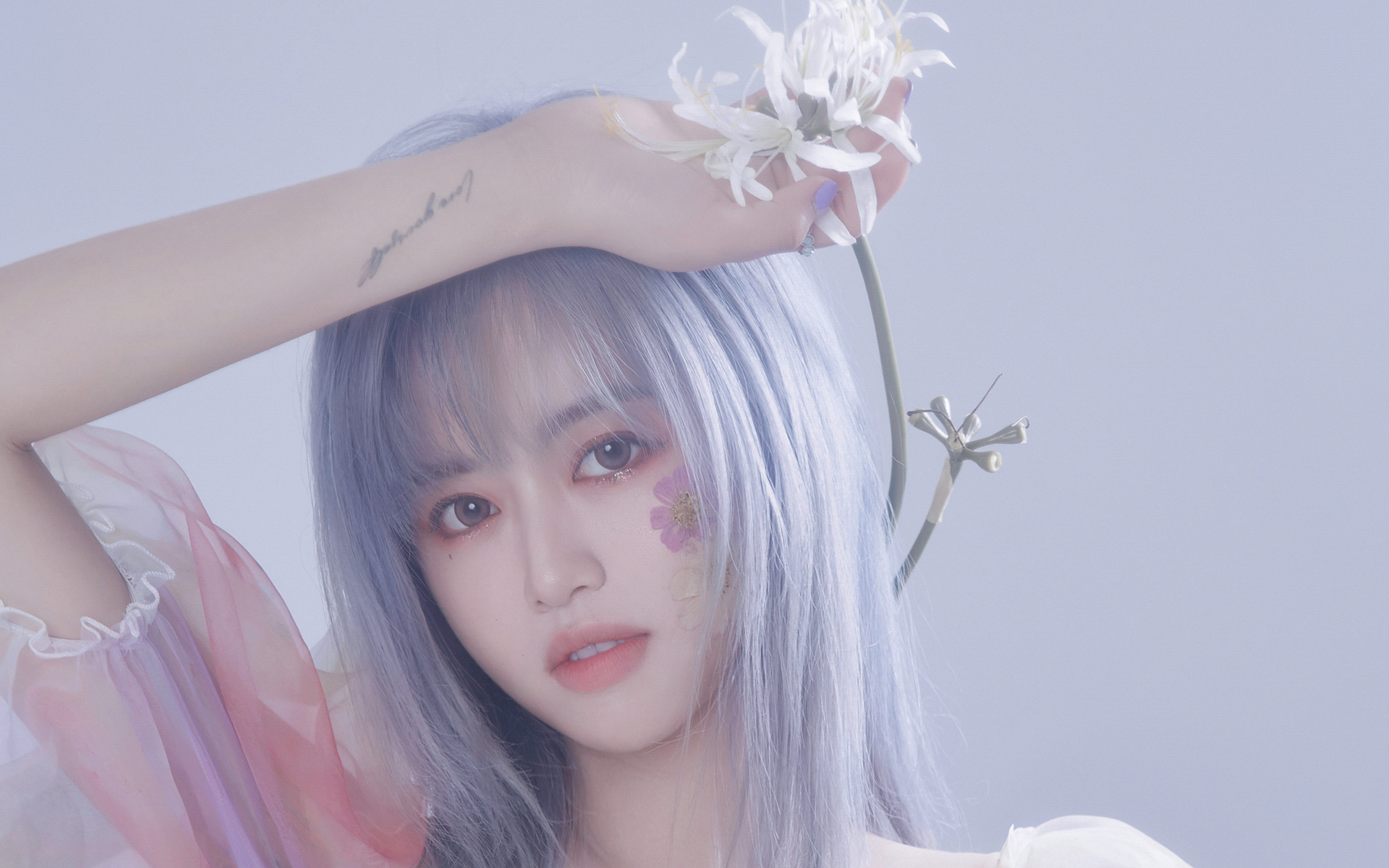 简介 温柔甜美女生私房写真高清电脑壁纸,分享一组小清新美女唯美性感