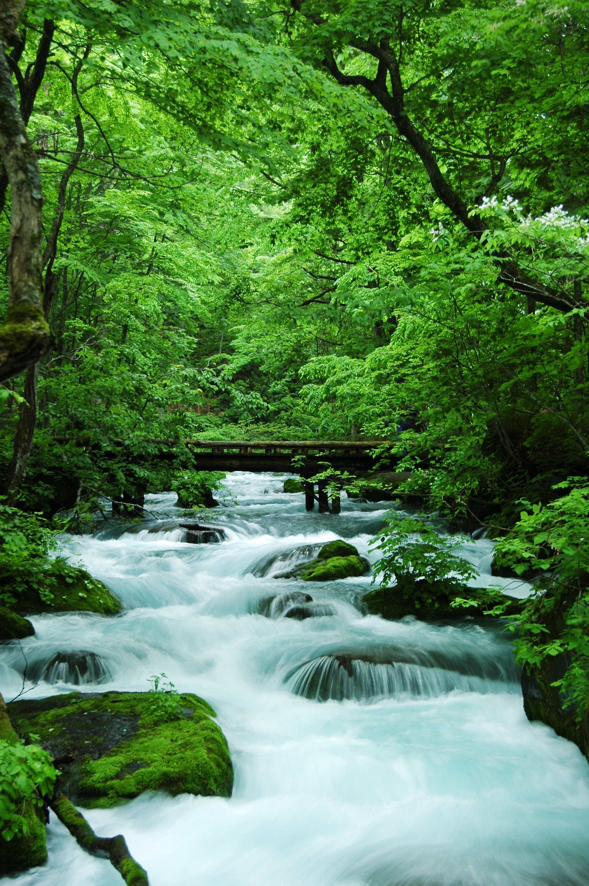 【青森避暑 星野度假村奥入濑溪流】东京 青森 迪士
