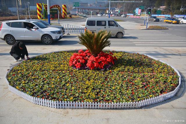 为了保护花坛内的花卉植物,保持花坛的整洁和美观,通常需要设置围栏.