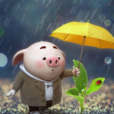 福猪:拜年了 2_微信头像_我要个性网