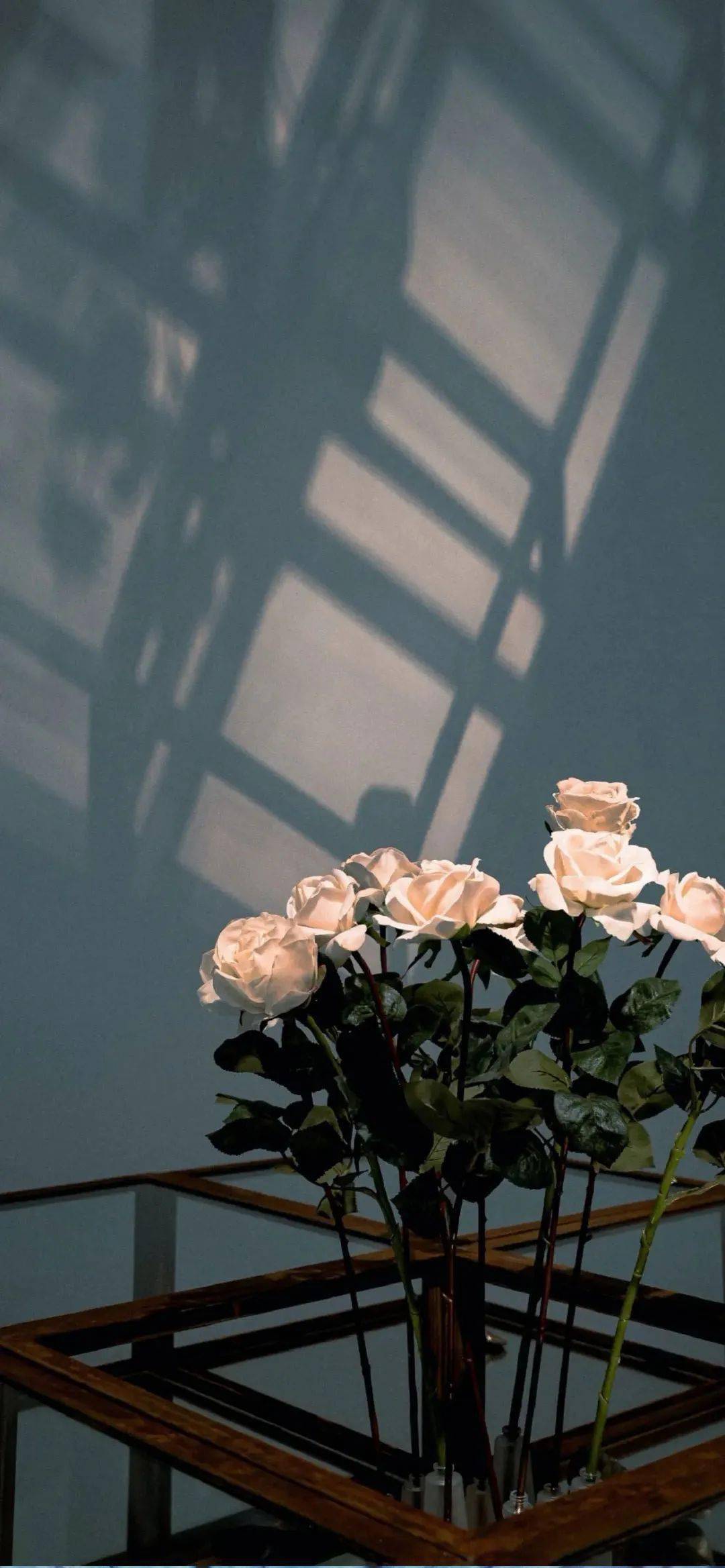 高清全面屏手机壁纸ins风手机全面屏锁屏