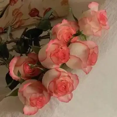 大妈专用花的头像