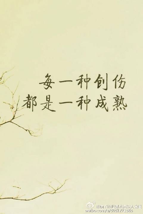 唯美的励志哲理句子