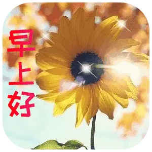 漂亮的早上好表情,你好早上好图片大全,太美了_祝福