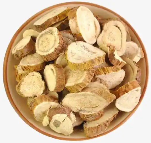 苦参的功效与作用  苦参可以直接泡水喝吗