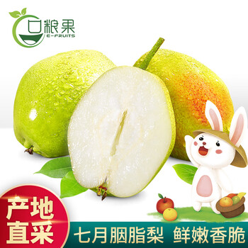 单果120g起,口粮果 七月胭脂梨 4.5斤