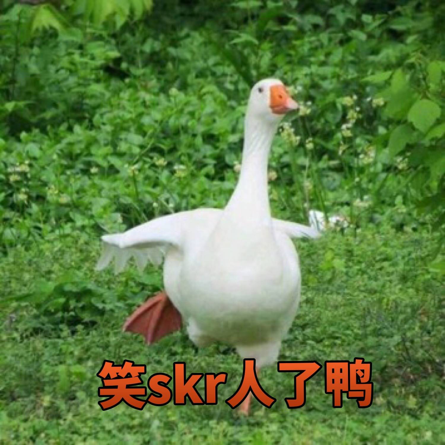 笑skr人了鸭skr表情