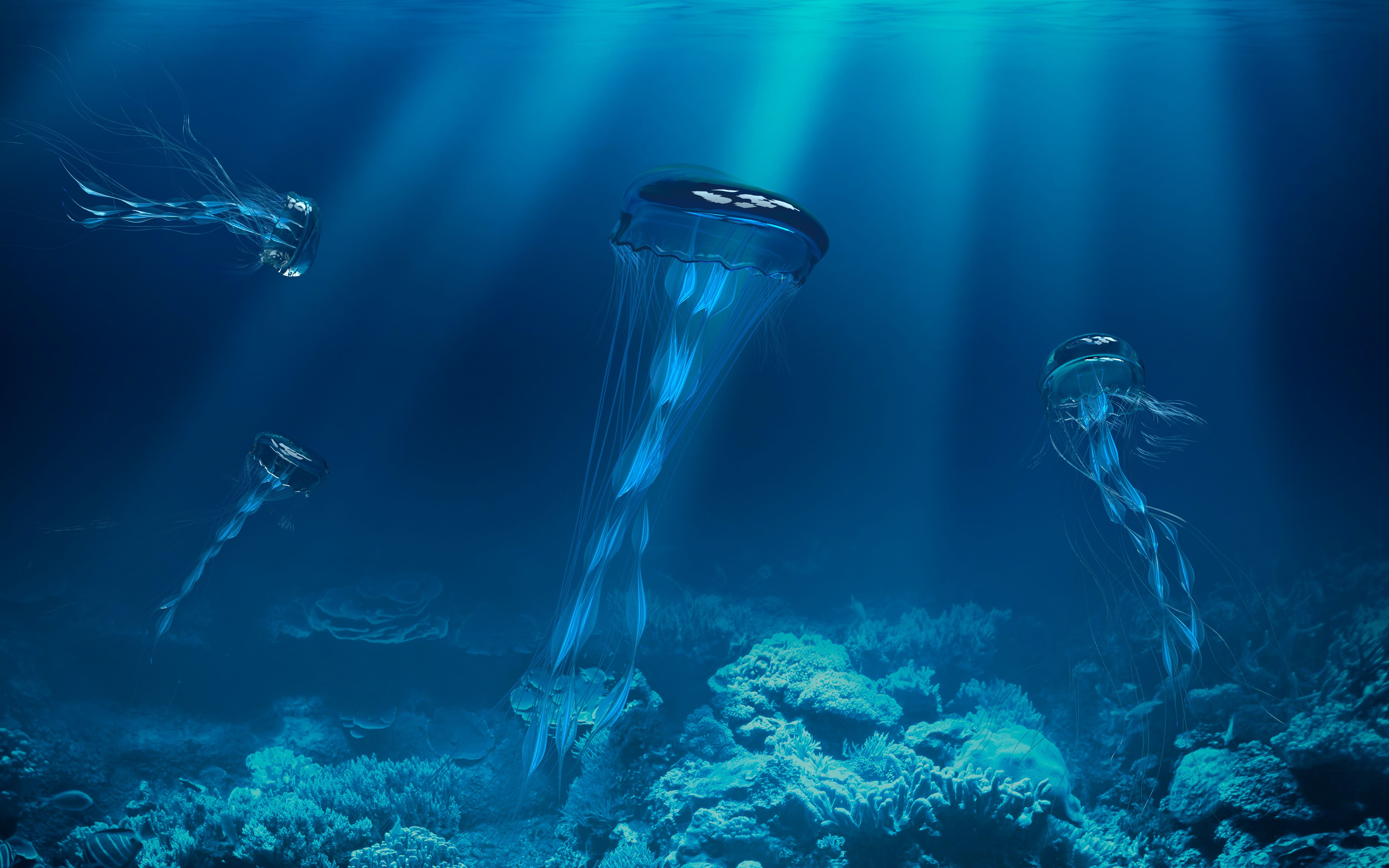 水母壁纸制作分享