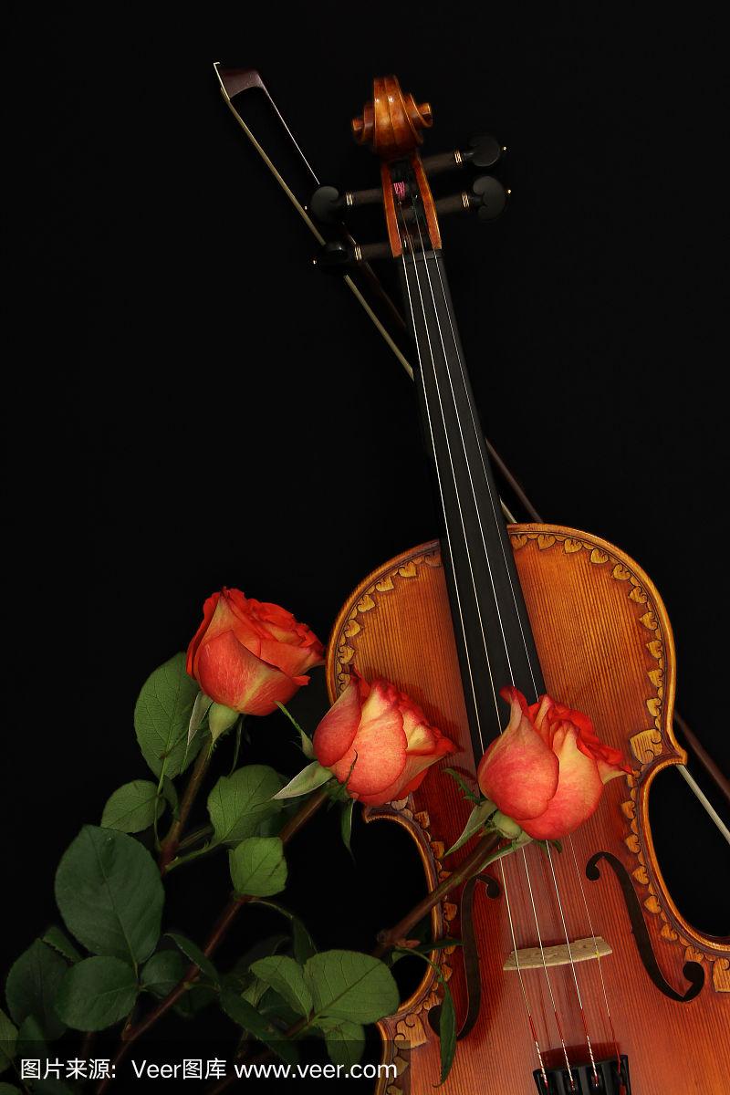 小提琴和玫瑰