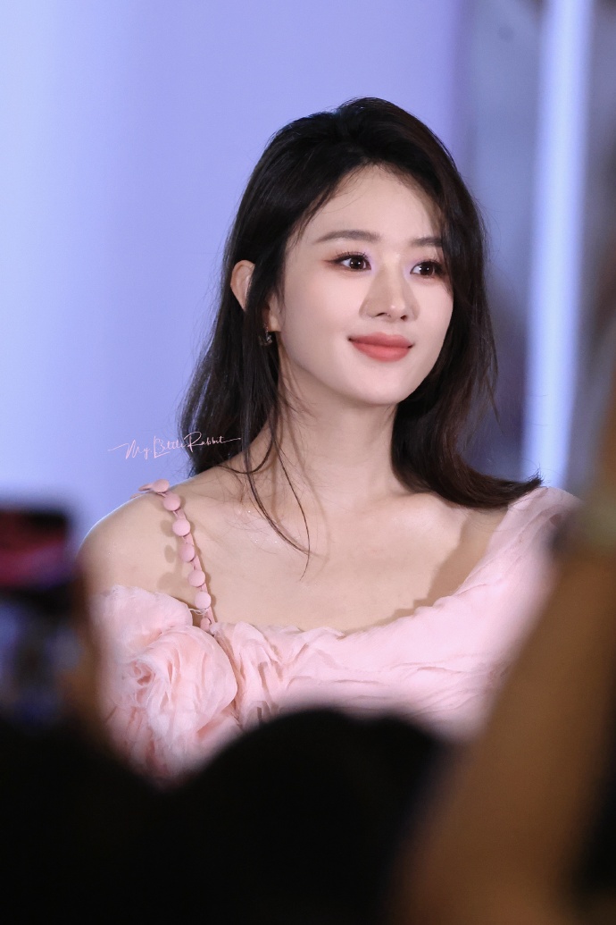 优雅大使赵丽颖