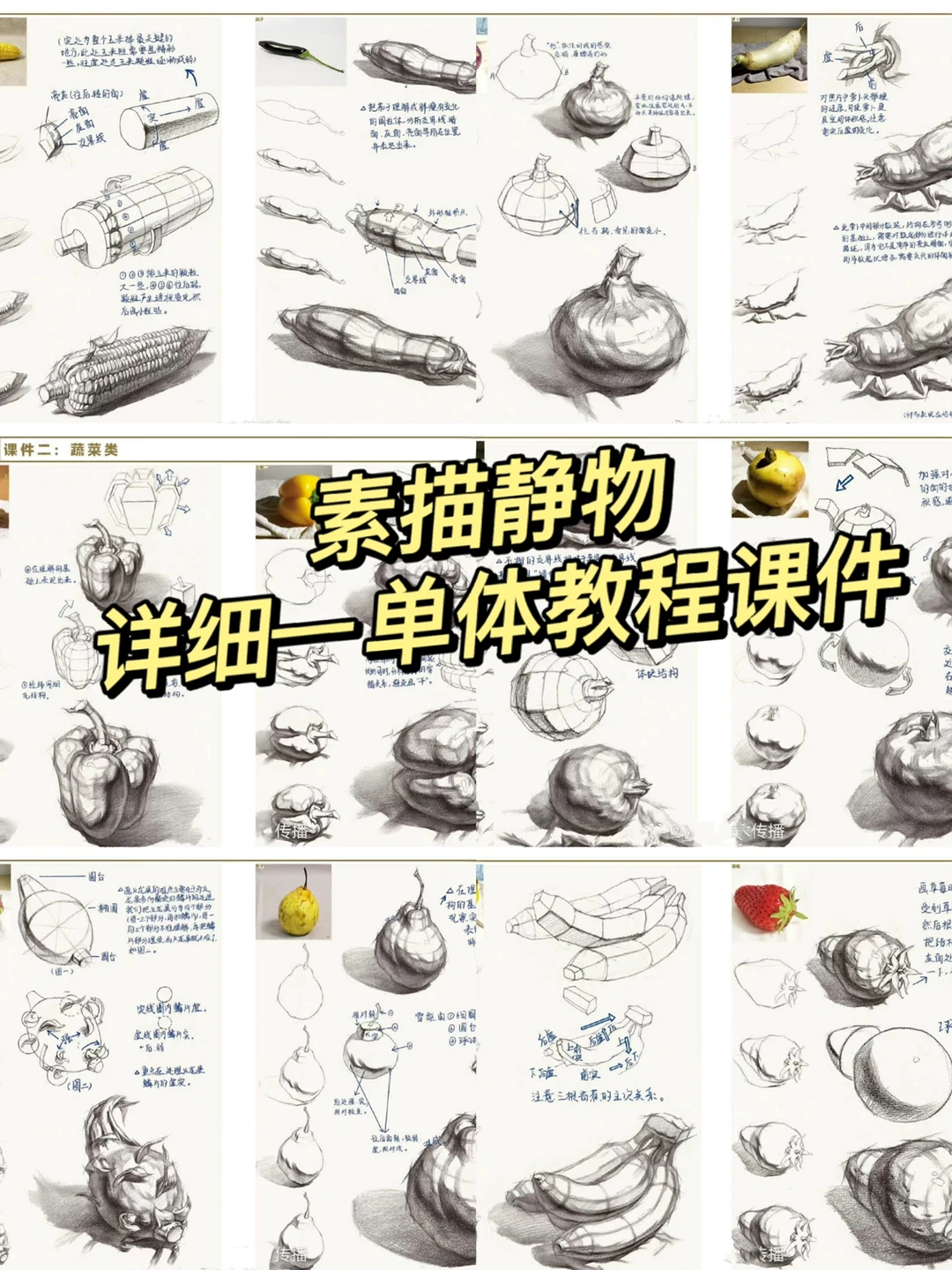 素描静物详细单体教程课件