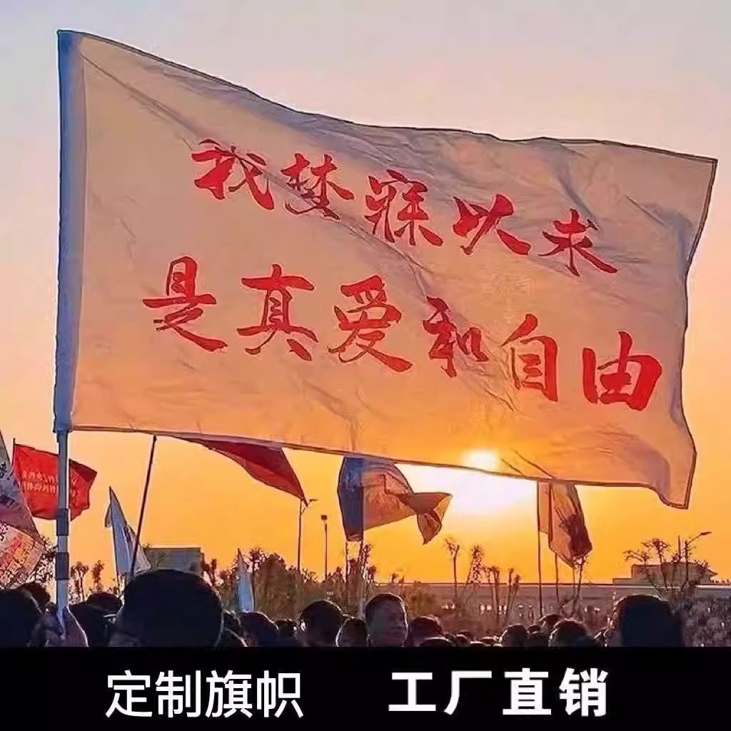 旗子定做我梦寐以求是真爱和自由痛仰演唱会应援旗大旗订制logo打卡