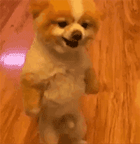 发情想做〔7678374⒉溦7437174⒋6〕恒星英语zeopy表情包