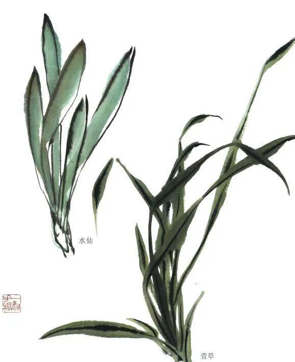 图文教程:国画萱草画法合集