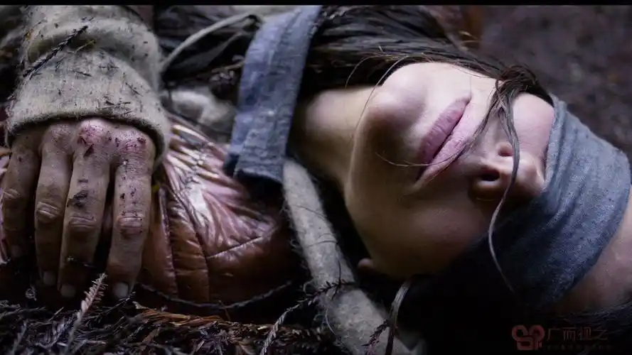 电影投资:这部惊悚片有4500万人次观看,夺命神秘力量席卷全球