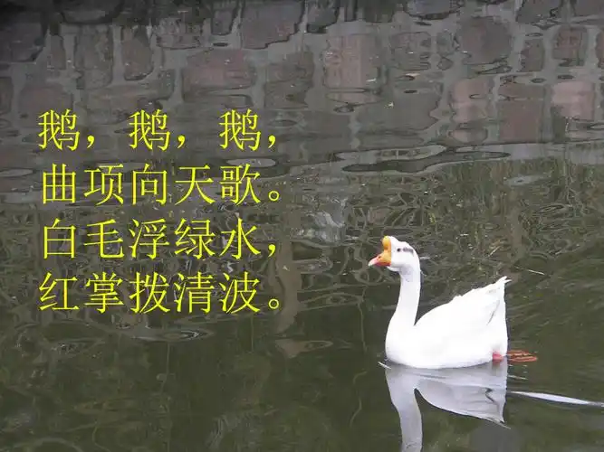 鹅鹅鹅曲项向天歌白毛浮绿水红掌拨清波