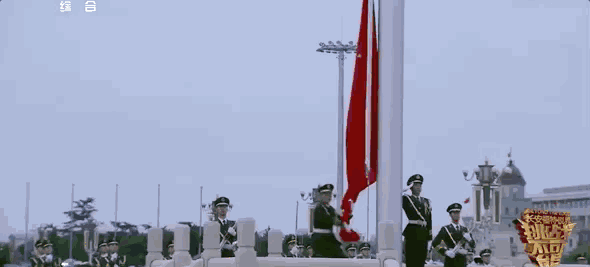 590_267gif 动态图 动图